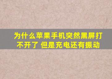 为什么苹果手机突然黑屏打不开了 但是充电还有振动